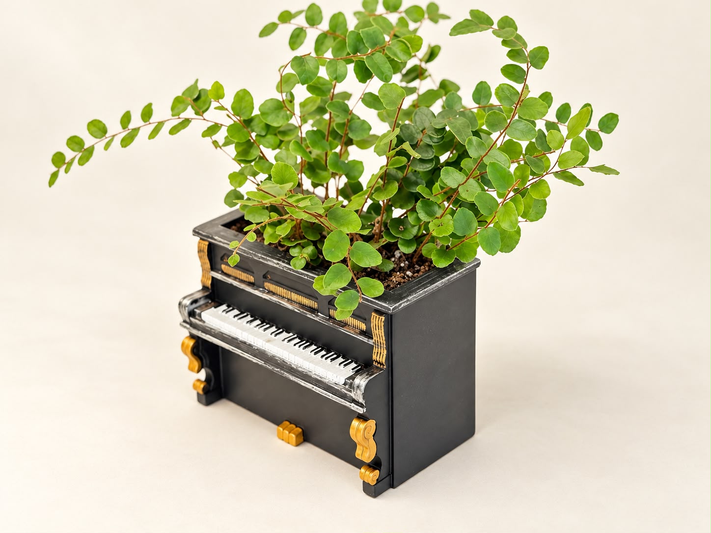 Piano Planter with Plant